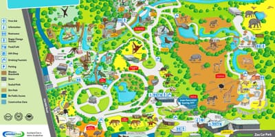 Mapa Unibertsitatea zoo